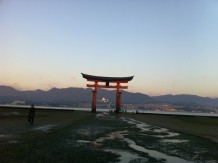 IMG_1061.jpg TORII3