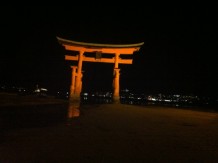 IMG_2820.jpg TORII5